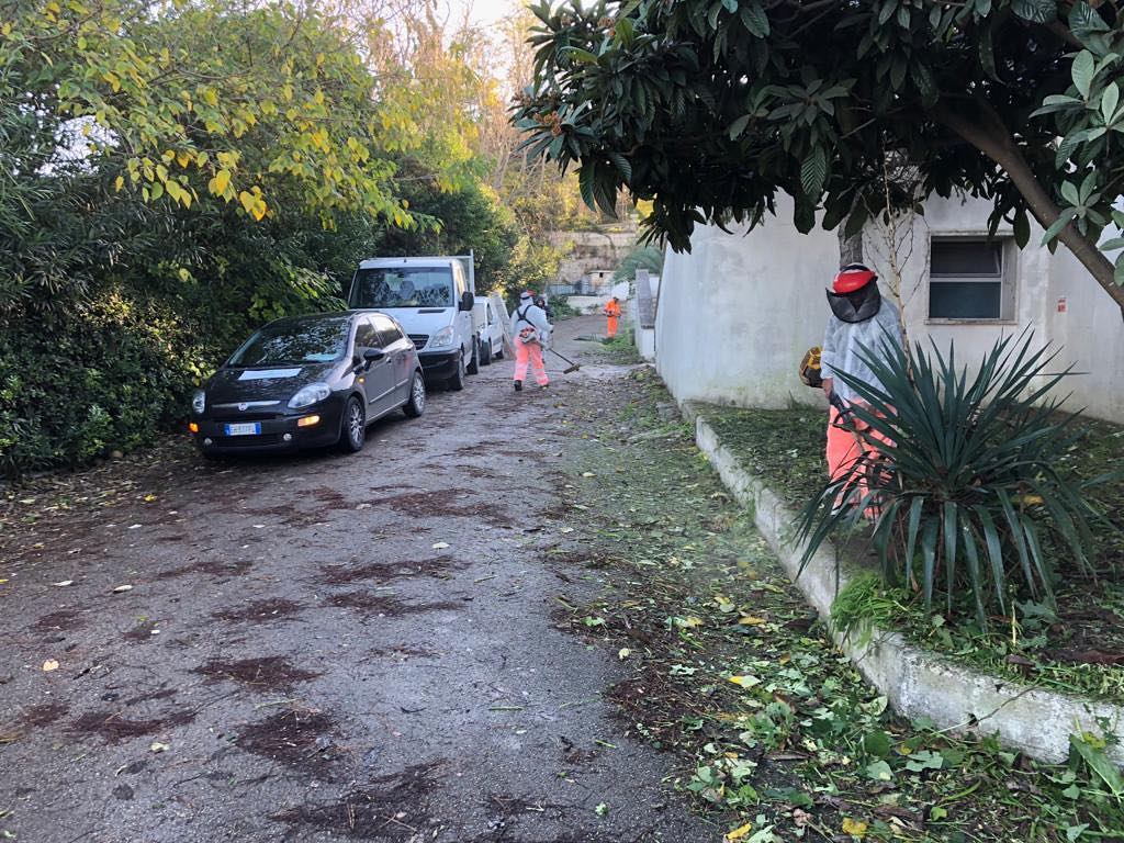 manutenzione verde